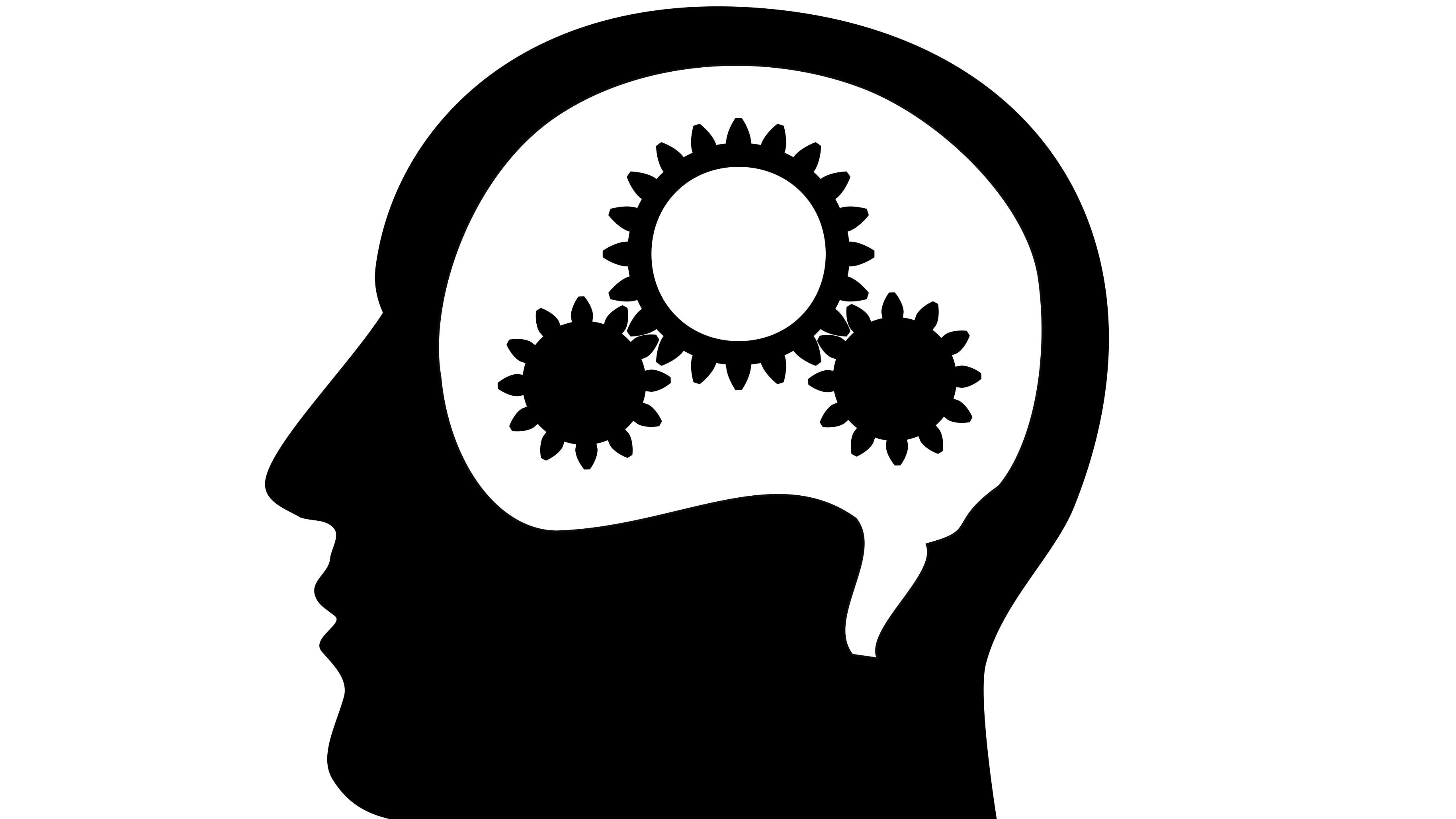 Network Control TMS fMRI