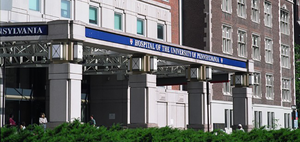  Study to Evaluate the Efficacy and Safety of Nefecon Treatment in Patients With IgA Nephropathy Who Have Completed Study Nef-301 