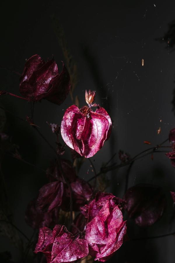  HyperActive Kids Another 