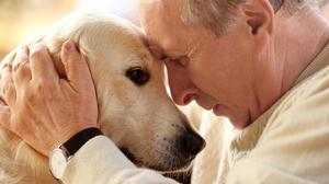  The REMBRANDT Study (Recovery of the Microbiome from Antibiotics for Dental Implants) 