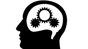  Network Control TMS fMRI 